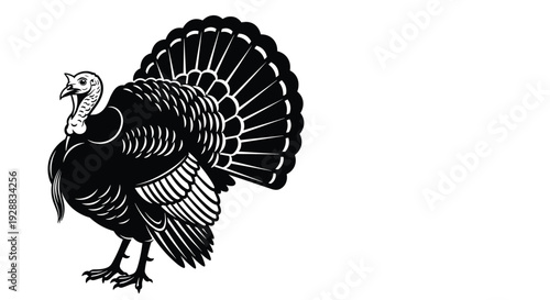 Turkey Bird Illustration, Thanksgiving Holiday Symbol, Farm Animal, Wild Turkey with Feathers, Poultry Graphic, Autumn Season Logo, Isolated Vector Design