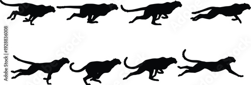 Cheetah running silhouettes sequence, fast stride motion artwork, wildlife speed symbol, animal locomotion vector illustration, nature design element