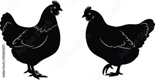 Chicken silhouettes facing each other, black vector illustration, poultry design, farm animal profile, detailed feathers combs beaks legs, minimal background art