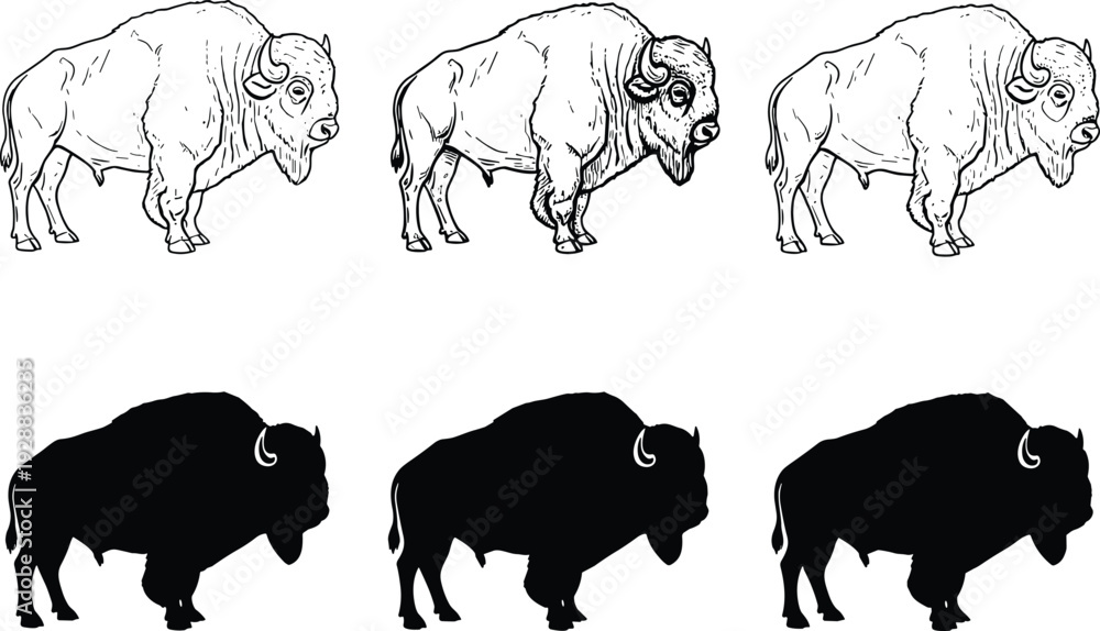 Fototapeta premium Vector illustration of bison artwork set, black and white wildlife design featuring detailed line drawings and bold silhouette animal comparisons