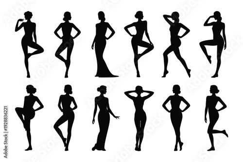 Woman silhouette vector illustration set in various poses and dresses