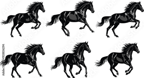 Vector illustration of black horses running in dynamic motion, stylized artwork with flowing mane and tail emphasizing speed and elegance
