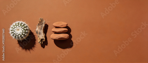 Wallpaper Mural Small white cactus with spiny green texture beside weathered driftwood branch and stacked terracotta clay stones on warm orange background. Rustic desert elements for Cinco de Mayo fiesta Torontodigital.ca