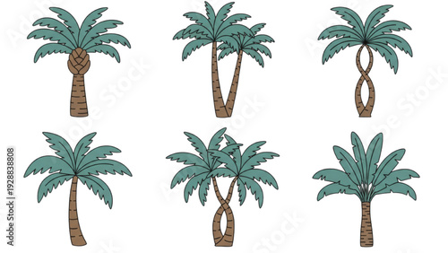 Illustration of palm trees in various poses on a white background from different viewpoints