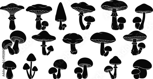 Diverse Mushroom Silhouette Vector Set Featuring Various Fungi Shapes Toadstools and Wild Forest Mushrooms Isolated on White Background for Nature and Mycology Graphic Design
