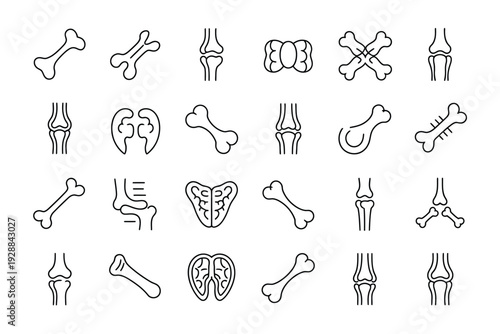Bone vector icons set for medical and educational purposes