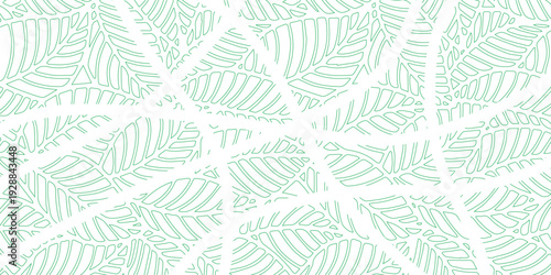 Abstract light green fern leaves pattern on white background.