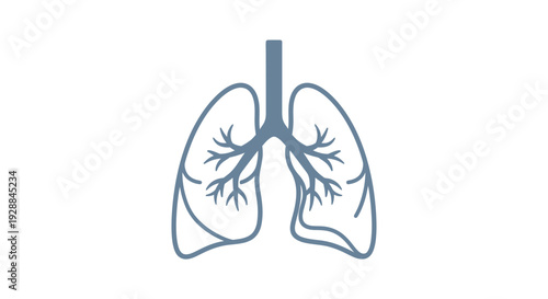 Stylized outline illustration of the human respiratory system, depicting lungs and trachea, symbolizing health, medical science, and breathing awareness