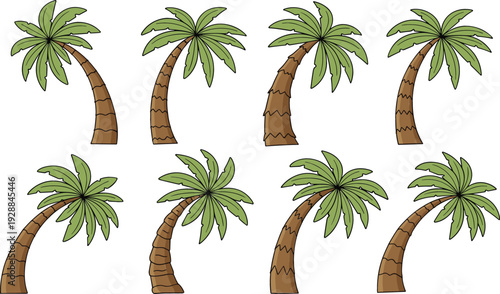 Cartoon Palm Tree Set Tropical Coconut Trees Collection Summer Beach Nature Vector Illustration Isolated on White Background