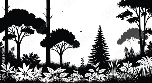 Forest silhouette landscape, cad drawing flat vector illustration, woodland nature scene with trees and ferns, outdoor wilderness background, pine, grass.