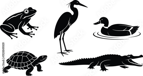 Animal silhouettes of frog, heron, duck, turtle, and alligator in distinct poses, vector illustration for wildlife, nature, and education design