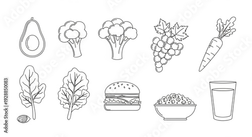 Hand drawn sketch of various fresh fruits and vegetables illustration.
