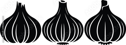 PrintGarlic bulb illustration black and white design, stylized vegetable drawing for culinary branding, packaging, kitchen ingredient educational reference