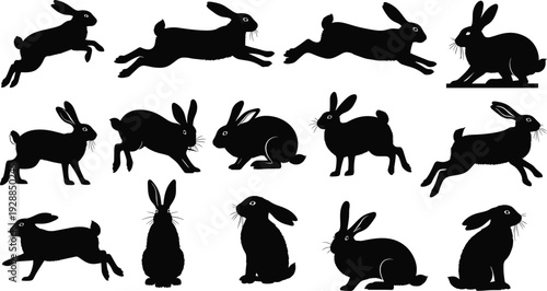 Rabbit silhouette collection, leaping hare set, cad drawing flat vector illustration, bunny jumping running sitting isolated, wildlife nature, easter, animal.