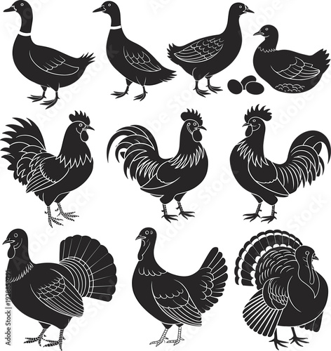 Black silhouette vector set of farm poultry birds including various ducks, roosters, and turkeys with eggs isolated on a white background for farm design.