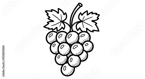 Hand drawn illustration of a bunch of grapes with leaves.