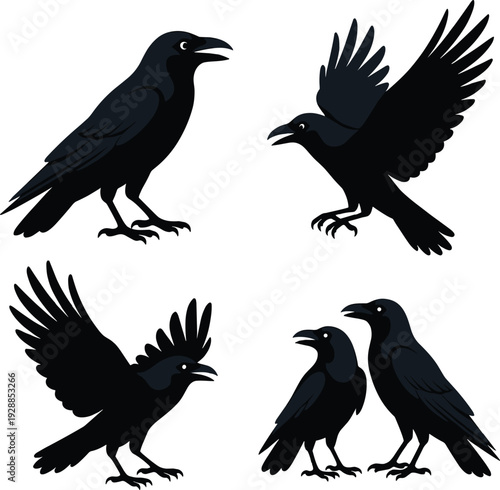 Crow and raven silhouette collection isolated on white background, black flying and standing birds set, dark avian wildlife vector illustration