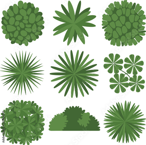 Top view vector set of green garden plants trees and bushes icons for landscape design architectural site plans backyard mapping and urban outdoor greenery projects