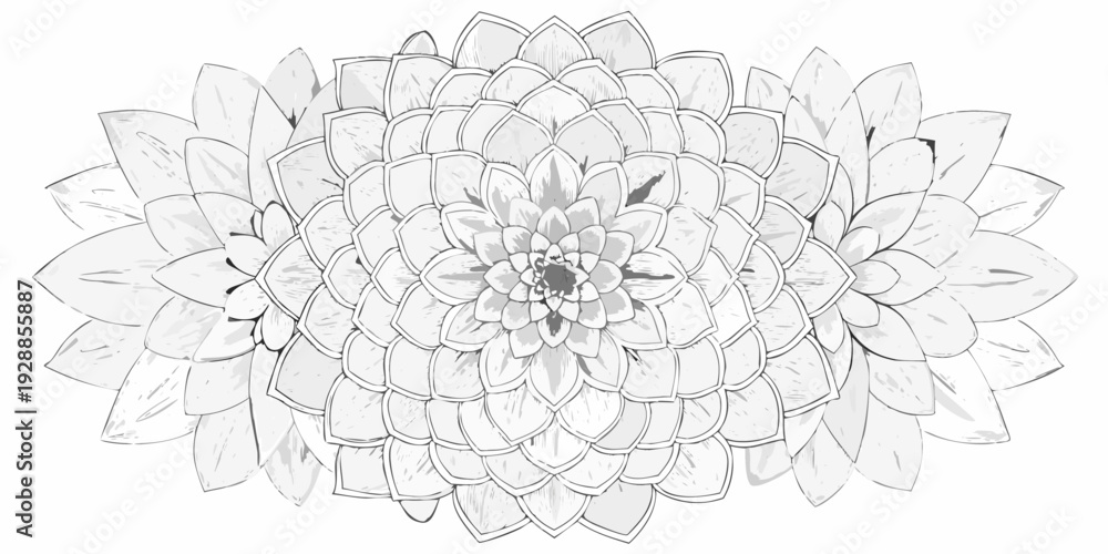 Fototapeta premium Detailed black and white illustration of a fully bloomed dahlia flower