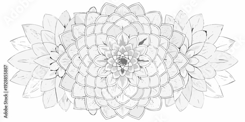 Detailed black and white illustration of a fully bloomed dahlia flower