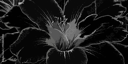Dramatic black and white floral closeup with artistic digital manipulation