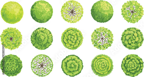 Tree canopy vector illustration with diverse foliage patterns, botanical aerial views, decorative landscape motifs, creative artistic educational elements for ecological projects