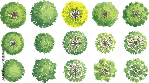 Tree canopy vector illustration with diverse foliage patterns, botanical aerial views, decorative landscape motifs, creative artistic educational elements for ecological projects