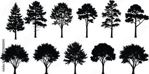 Tree silhouette vector illustration with diverse coniferous and deciduous branching designs, botanical decorative motifs, creative artistic educational elements for landscape projects