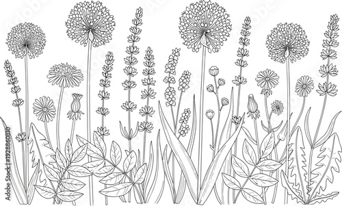 Vector illustration of wildflowers and plants line drawing symbolizing nature, growth, culture, education, conservation, and environmental values
