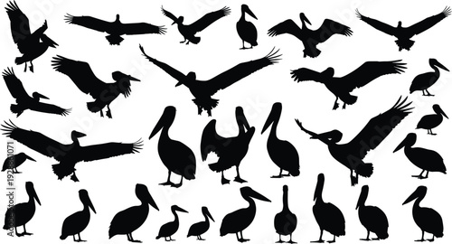 Wild forest animals silhouette set, featuring deer, bear, moose, ibex, and rabbit in mountain landscapes, vector nature scene for outdoor hunting decor.