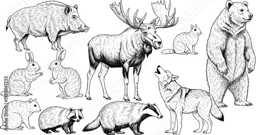 Vector illustration of woodland animal silhouettes symbolizing wildlife, forest, nature, culture, education, conservation, and environmental values