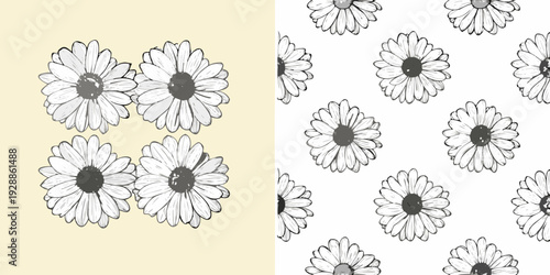 Floral pattern featuring sketched daisies on contrasting backgrounds