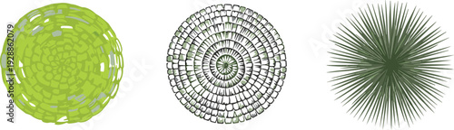 Green circular vector illustration of microscopic botanical structures, plant cells diatom algae radiolarian radial burst scientific design