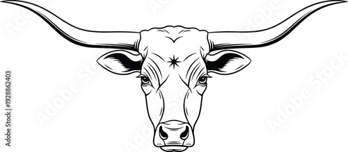 Longhorn steer head vector illustration, black and white symmetrical artwork, decorative horned cattle design, western cultural motif, detailed animal graphic, star forehead symbol