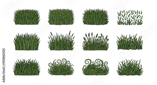 Collection of various green bushes and shrubs for landscaping