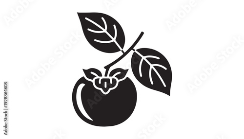 black color Persimmon fruits of silhouette vector illustration, solid white background