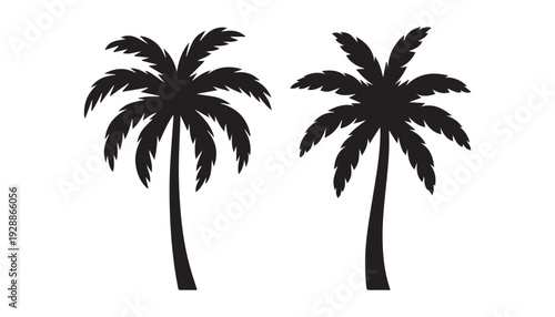 black color palm tree of silhouette vector illustration, solid white background