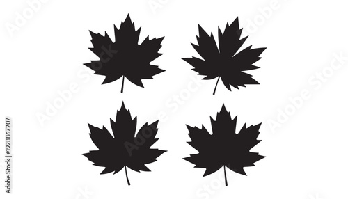 black color maple leaf set of silhouette vector illustration, solid white background