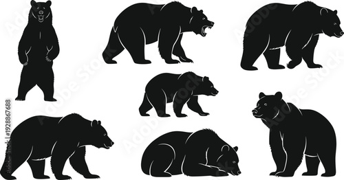 Bear silhouette vector illustration collection, wildlife animal artwork, forest nature design element, mammal graphic motif, diverse posture pattern