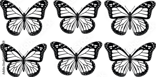 Butterfly icons, symmetrical wing graphics, insect illustration, nature artwork, biology vector design, wildlife symbol, educational pattern recognition drawing