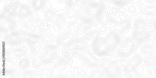 Minimal white line geometric grid outline curve counter map and wavy topography relief discovery area white, black line texture background.