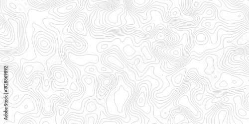Minimal white line geometric grid outline curve counter map and wavy topography relief discovery area white, black line texture background.