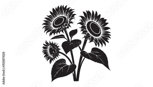 black color sunflower set of silhouette vector illustration, solid white background