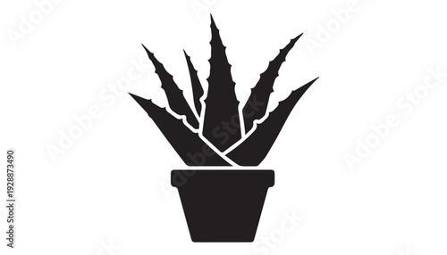 black color Aleo Vera of silhouette vector illustration, solid white background