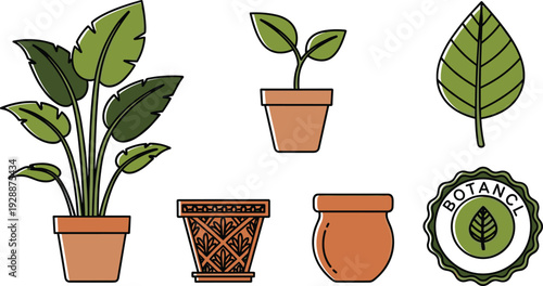 Houseplants and Potted Garden Vector Illustration Set with Tropical Monstera Leaves Terracotta Clay Pots and Botanical Badge Icons