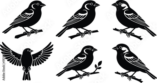 Bird Silhouettes Collection Isolated on White Background, Perched and Flying Songbird Vector Set for Wildlife and Nature Design