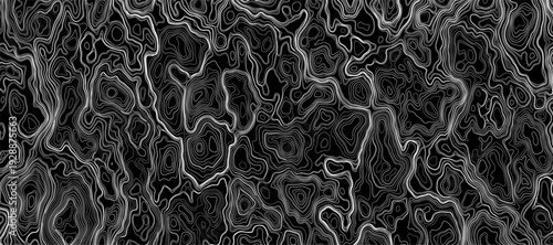 Abstract Monochrome Topographic Map with Intricate Contour Lines – Seamless Black and White Vector Illustration, Modern Geometric Terrain Pattern, Digital Cartography Inspired Technology Texture.