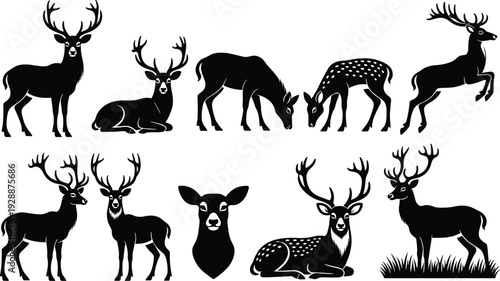 Deer Silhouette Collection Isolated on White Background, Stag and Fawn Wildlife Vector Set for Hunting, Nature, and Design