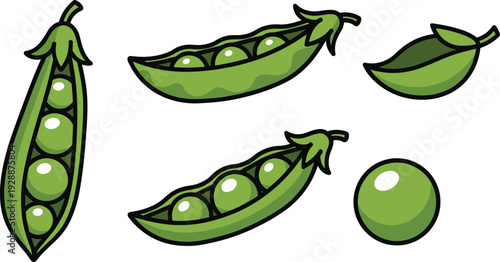 Green Peas in Pod Vector Illustration Set with Fresh Vegetable Shells Healthy Organic Pea Seeds and Garden Botanical Design Elements