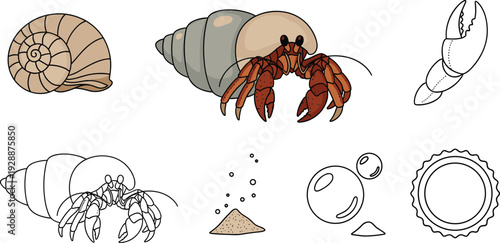 Hermit Crab and Sea Life Vector Illustration Set with Detailed Shells Marine Crustacean Character Sand Bubbles and Underwater Badge Icons